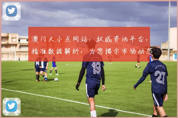 澳门大小点网站，权威资讯平台，精准数据解析，为您揭示市场动态，洞察行业趋势。