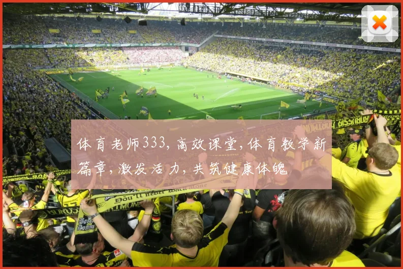 体育老师333,高效课堂,体育教学新篇章,激发活力,共筑健康体魄